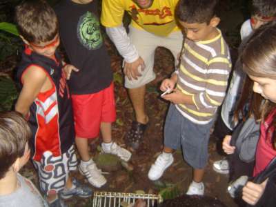 verificando as armadilhas...