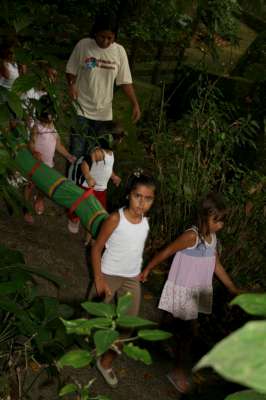 passeando pela floresta...